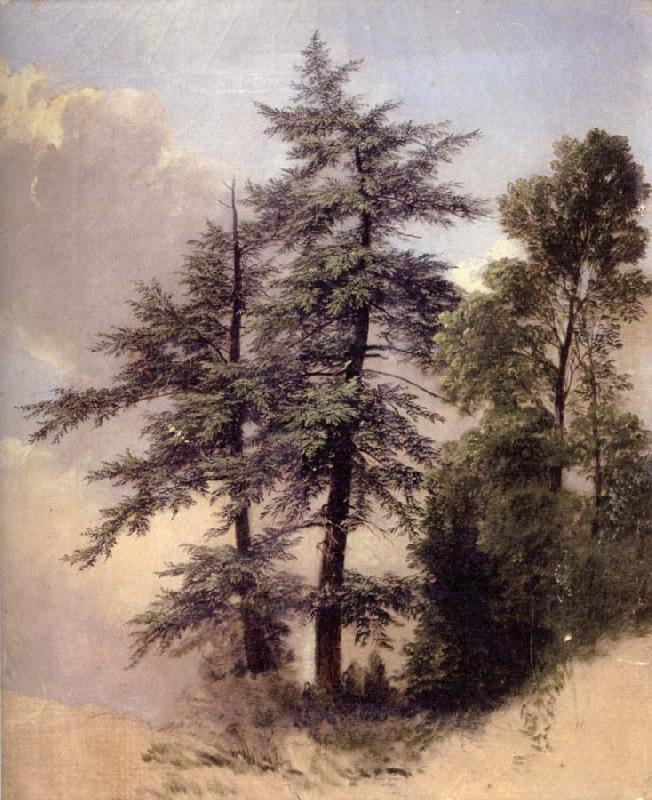 Asher Brown Durand Study from Nature Trees,Newburgh,